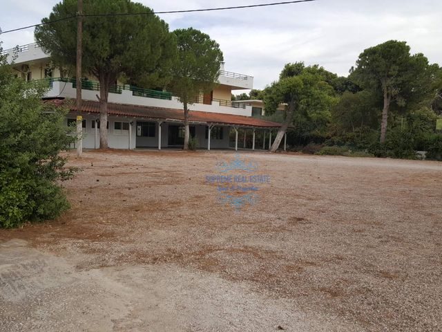 (προς ενοικίαση) Επαγγελματικό Αίθουσα  - αποθηκη - γραφειο || Αθήνα - Ανατολικά Προάστια / Παιανία - 250.0τ.μ., 2.200€