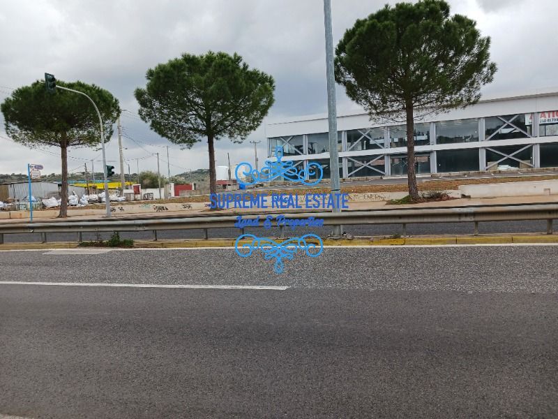 (Προς Πώληση) Επαγγελματικός Χώρος Εκθεσιακός Χώρος || Παλλήνη /  - 3000τ.μ, 3800000€