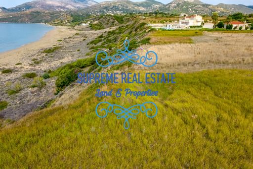 (For Sale) Land Plot || Kefalonia / Eleioi-Pronoi - 8000sq 640000€