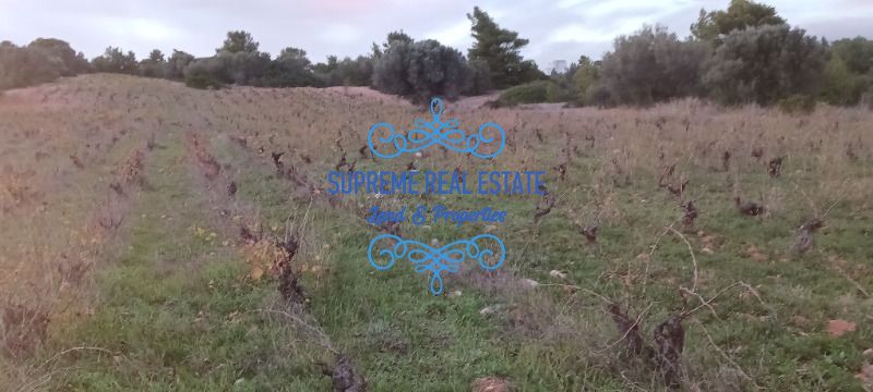 (For Sale) Land Estate || Pikermi /  - 5100sq 150000€