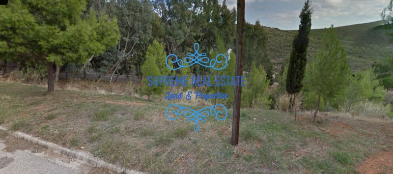 (For Sale) Land Plot || Nea Penteli /  - 1500sq 250000€
