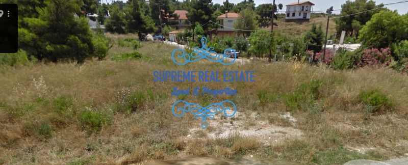 (For Sale) Land Plot || Anthousa /  - 454sq 150000€