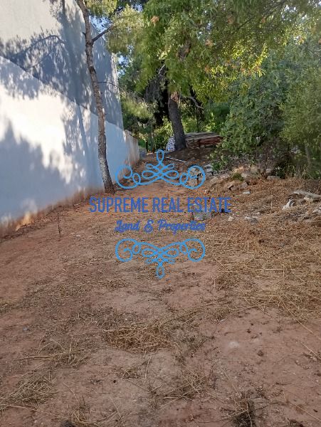 (For Sale) Land Plot || Glyka Nera / Fouresi - 240sq 110000€