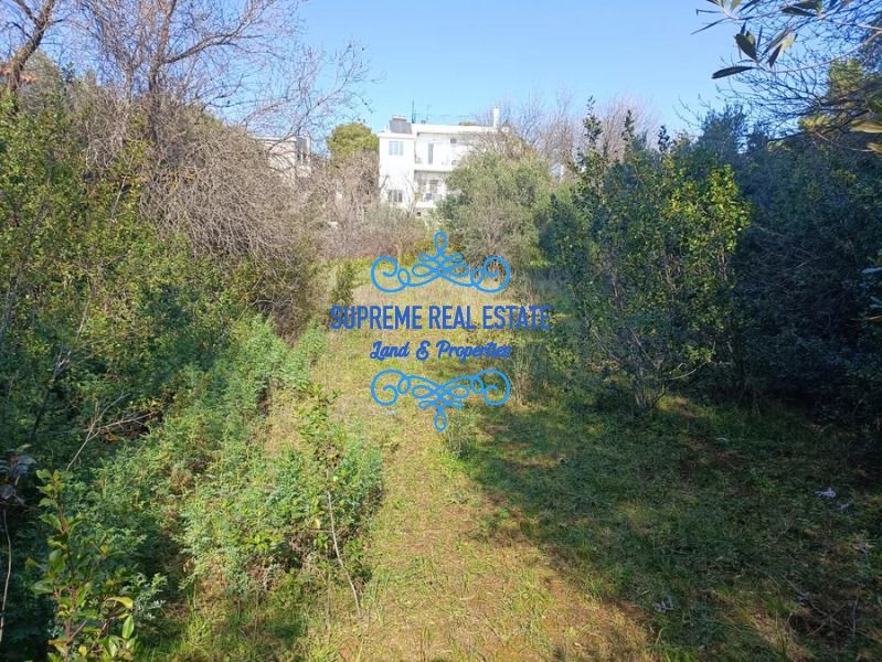 (Προς Πώληση) Αξιοποιήσιμη Γη Οικόπεδο || Κορωπί / Αγία Μαρίνα - 1566τ.μ, 340000€
