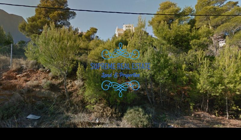 (For Sale) Land Plot || Pikermi / Dioni - 527sq 200000€