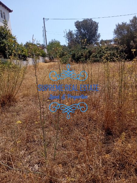 (For Sale) Land Plot || Artemida (Loutsa) / Giourgia - 240sq 28000€