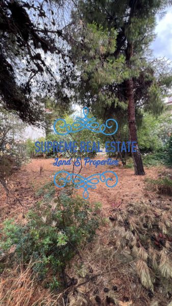 (For Sale) Land Plot || Artemida (Loutsa) / Kataskinosis - 236sq 45000€