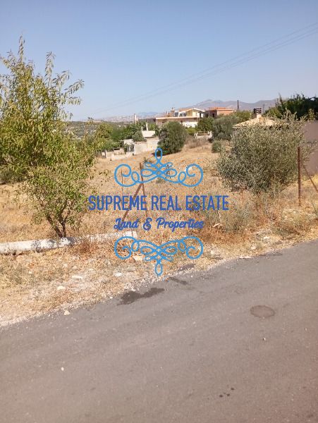 (For Sale) Land Plot || Artemida (Loutsa) /  - 430sq 94000€