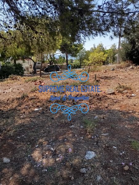 (For Sale) Land Plot || Anthousa /  - 300sq 120000€
