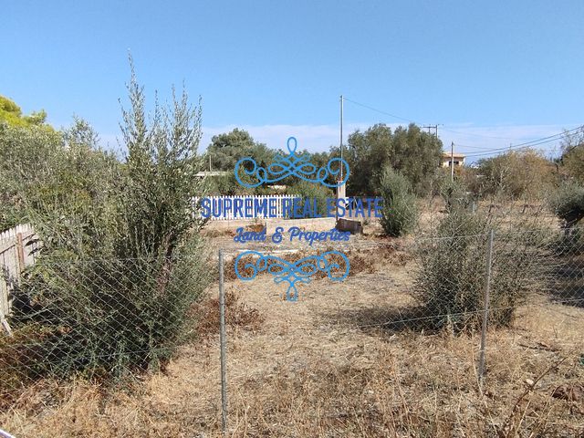 (For Sale) Land Plot || Artemida (Loutsa) /  - 257sq 67000€