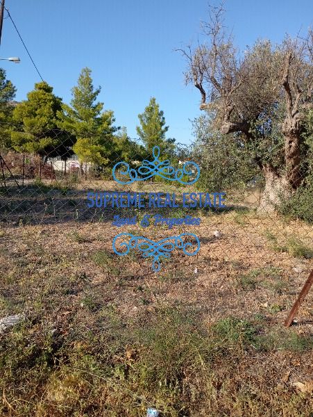 (For Sale) Land Plot || Glyka Nera /  - 205sq 90000€