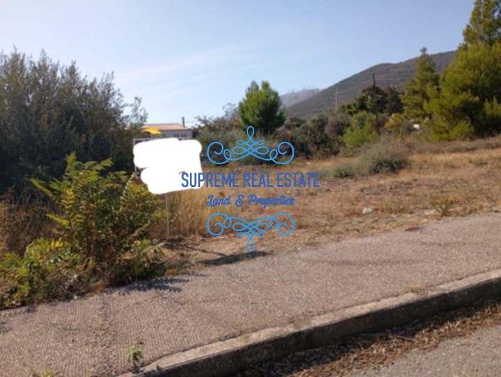 (For Sale) Land Plot || Glyka Nera /  - 205sq 100000€