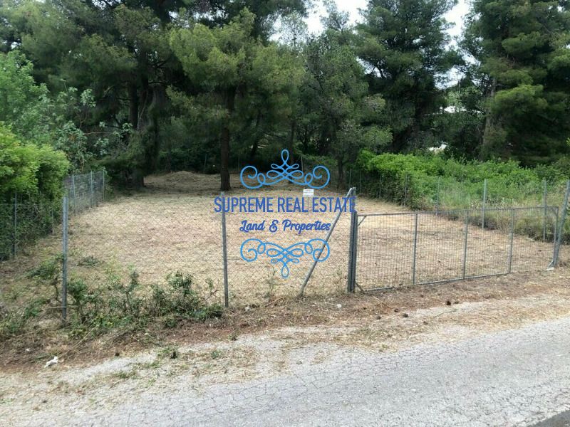 (For Sale) Land Plot || Penteli / Ano Penteli - 348sq 88000€