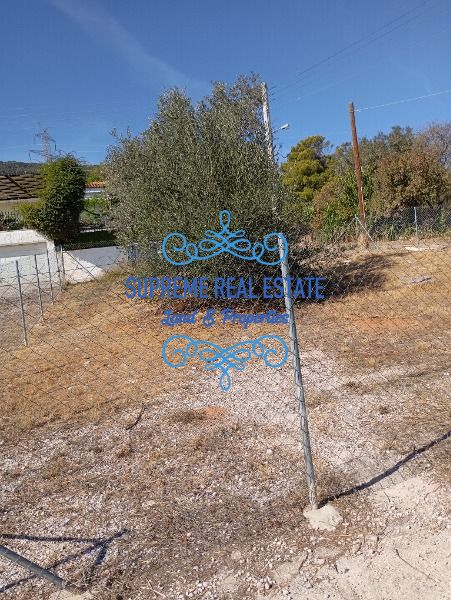 (For Sale) Land Plot || Glyka Nera /  - 228sq 105000€