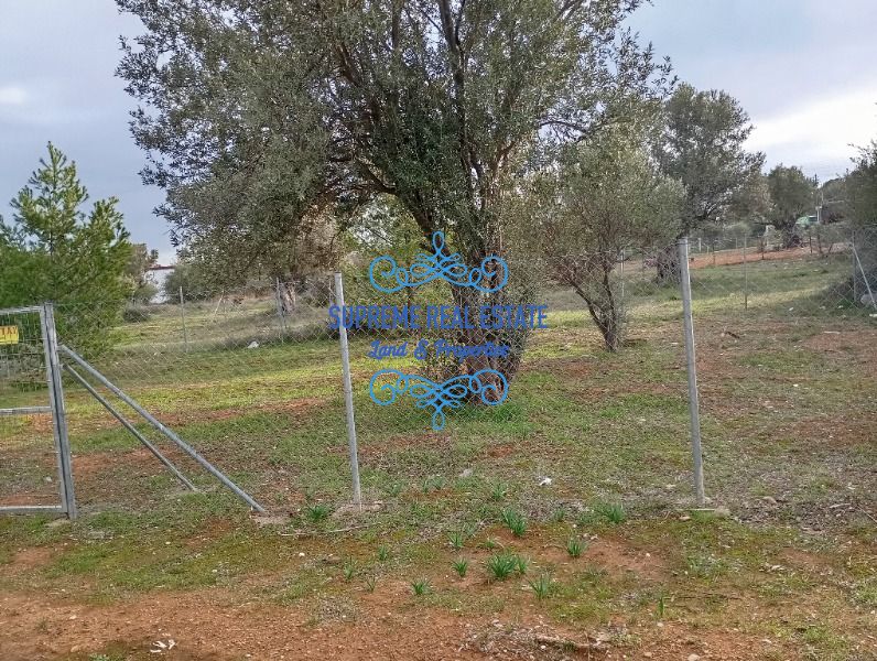 (For Sale) Land Plot || Glyka Nera /  - 206sq 85000€