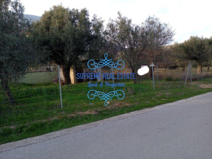(For Sale) Land Plot || Paiania / - 232sq 37000€