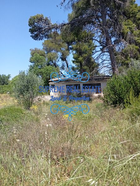 (Προς Πώληση) Κατοικία Μονοκατοικία || Κορωπί / Καρελλάς - 90τ.μ, 2Υ/Δ, 55000€