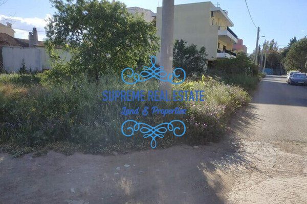 (For Sale) Land Plot || Chalandri / Ano Chalandri - 290sq 300000€